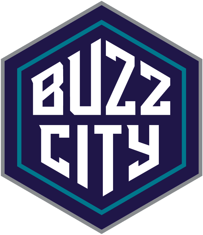 Charlotte Hornets 2014-Pres Alternate Logo DIY iron on transfer (heat transfer) Charlotte Hornets 2014-Pres Alternate Logo DIY iron on transfer (heat transfer)